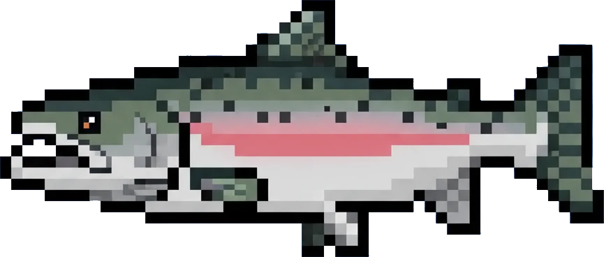 Salmon