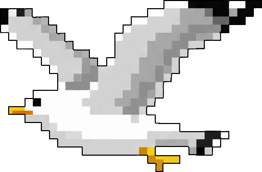 Seagull